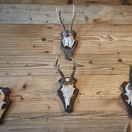 Glemm Lodge Apartments - Joker Card Im Sommer Inklusive Saalbach-Hinterglemm Esterno foto