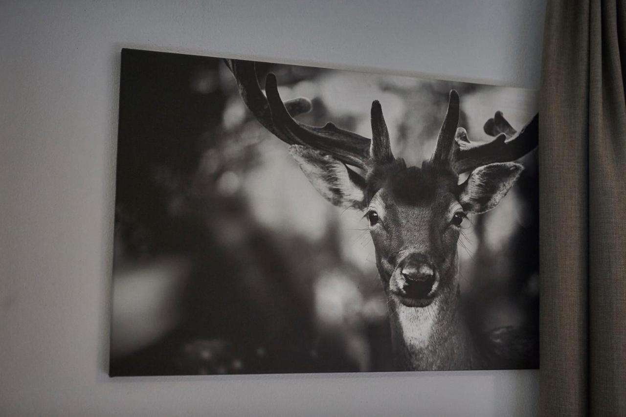 Glemm Lodge Apartments - Joker Card Im Sommer Inklusive Saalbach-Hinterglemm Esterno foto